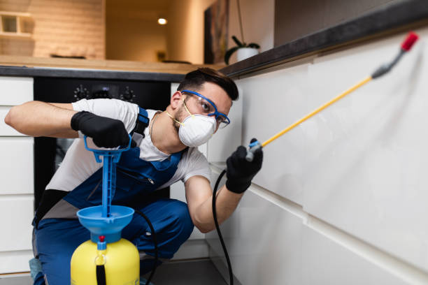 Best Commercial Pest Control Services  in North Crossett, AR