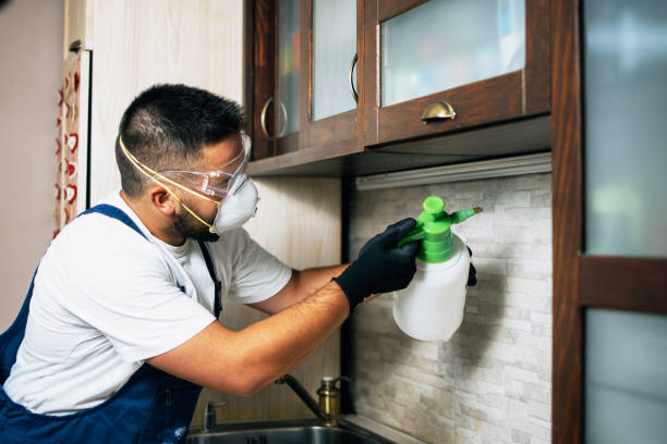 Best Best Pest Control Companies  in North Crossett, AR