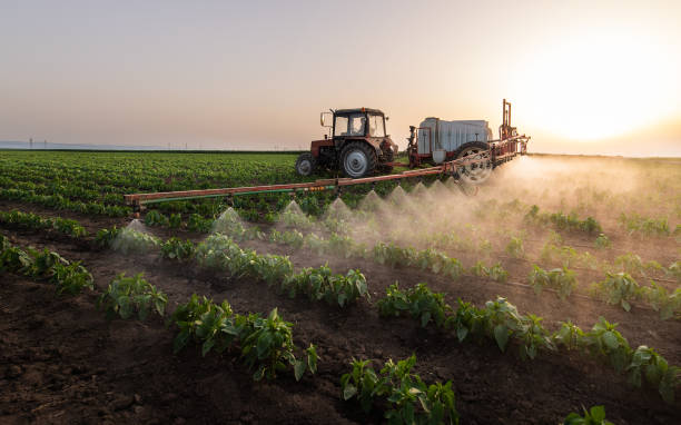  North Crossett, AR Pest Control Pros