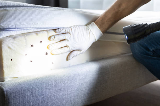 Pest Control Cost in North Crossett, AR