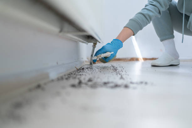 North Crossett, AR Pest Control Company
